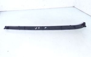 Audi A4 S4 B6 8E 8H Moulure/baguette de porte avant 8E0867409