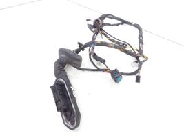 BMW X5 E53 Rear door wiring loom 6937558