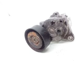 Mercedes-Benz C W203 Tensor de correa del alternador A6462000270