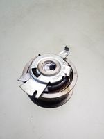 Volkswagen PASSAT B6 Timing belt tensioner 979847