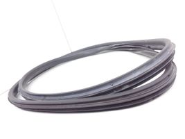 Renault Megane III Front door rubber seal 