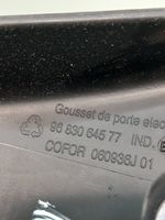 Peugeot Partner Kita salono detalė 9683064577