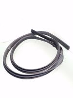 Ford Focus Front door rubber seal 