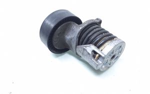 Volkswagen PASSAT B7 Napinacz paska alternatora 038903315