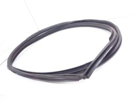 Toyota Avensis T270 Front door rubber seal Tgukuhf6