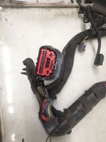 Ford Ecosport Cableado de instalación del motor FV2T12A522BDB