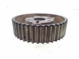 Skoda Octavia Mk2 (1Z) Puleggia dell’albero a camme/VANOS 038109111E