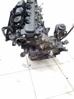 BMW 3 E46 Motor 204D1