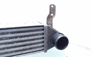 Volkswagen Sharan Radiatore intercooler 7M3145805