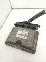 Seat Ibiza III (6L) Sterownik / Moduł ECU 036906034GM