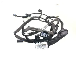 Chevrolet Captiva Rear door wiring loom 95083436