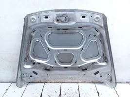 Volkswagen Touareg I Engine bonnet/hood 