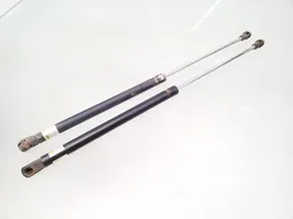 Volkswagen PASSAT B5 Tailgate/trunk strut/damper 