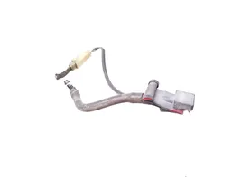 Volkswagen PASSAT B5 Difusor de agua regadora de parabrisas 3B0955986C