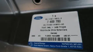 Ford Fiesta Motorhaube 2469780