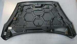 Ford Fiesta Motorhaube 2469780