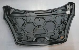 Ford Fiesta Motorhaube 2469780