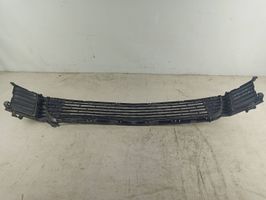 Honda Accord Grille inférieure de pare-chocs avant 71102TL0G0