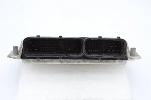 Chevrolet Captiva Sterownik / Moduł ECU 96499980