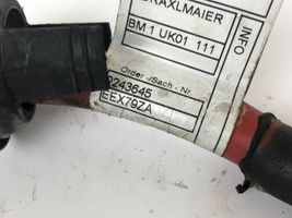 BMW X4 F26 Cavo positivo (batteria) 9243645