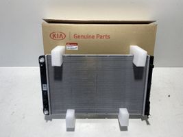 Hyundai Ioniq 5 Radiatore di raffreddamento 25308G2000