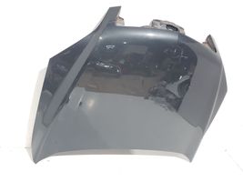 Opel Antara Engine bonnet/hood 