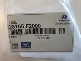 Hyundai i30 Oro filtro dėžė 28165F200