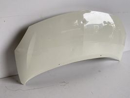 Renault Twingo II Engine bonnet/hood 