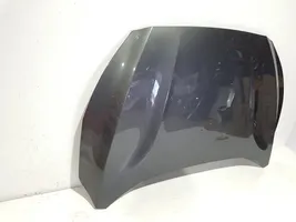 Ford Focus Engine bonnet/hood 