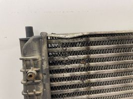 Seat Alhambra (Mk1) Radiatore intercooler 