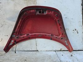 Volkswagen New Beetle Engine bonnet/hood 