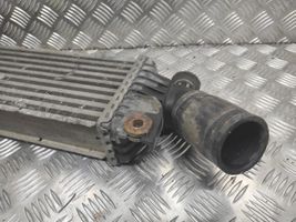 Nissan Primera Chłodnica powietrza doładowującego / Intercooler 