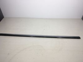 Ford Fiesta Rear door glass trim molding 