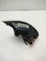 BMW 3 E46 Front indicator light 6914199