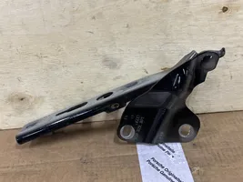 Audi Q3 8U Cerniere del vano motore/cofano 8U0823301