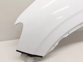 Renault Kadjar Fender 