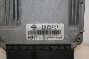 Volkswagen Caddy Variklio valdymo blokas 03G906016A