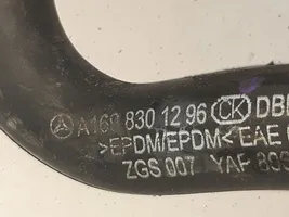 Mercedes-Benz B W245 Przewód / Wąż chłodnicy 2095012682