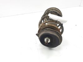 Fiat Panda II Stoßdämpfer vorne 5185795