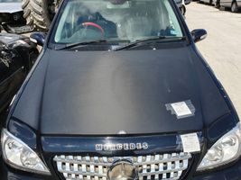 Mercedes-Benz ML W163 Vano motore/cofano 040