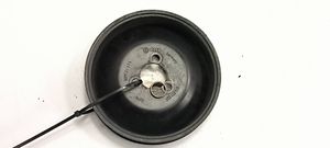 Volkswagen Crafter Power steering pump pulley 