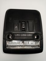 BMW X5 E70 Illuminazione sedili anteriori 61319173793