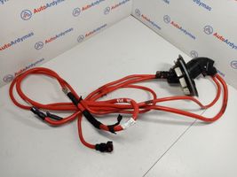 BMW X1 F48 F49 Cable positivo (batería) 598162