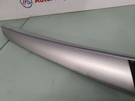 BMW X5 E70 Altro elemento di rivestimento della portiera posteriore 4993200