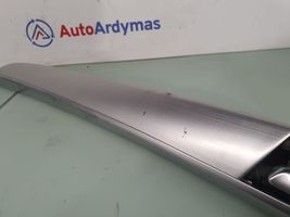 BMW X5 E70 Altro elemento di rivestimento della portiera posteriore 4993100