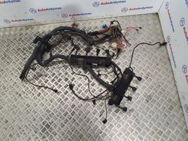 BMW X5 E53 Cableado de instalación del motor 12511438902