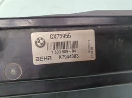 BMW 5 E60 E61 Osłona chłodnicy 17117810333