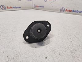 BMW 3 F30 F35 F31 Asta/punto di sollevamento del vano motore/cofano 7291089