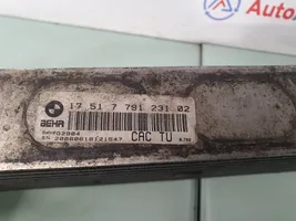 BMW X5 E53 Chłodnica powietrza doładowującego / Intercooler 7791231