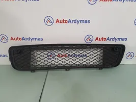 BMW X5 E70 Grille inférieure de pare-chocs avant 51117163956